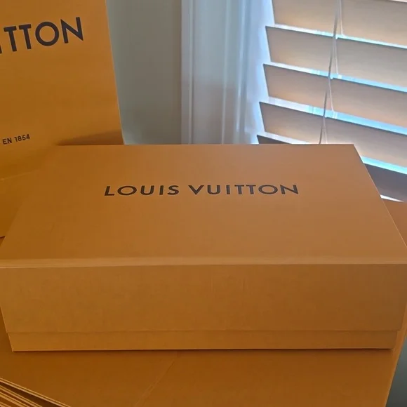 Louis Vuitton Box & Shopping Bag - Picture 3 of 5